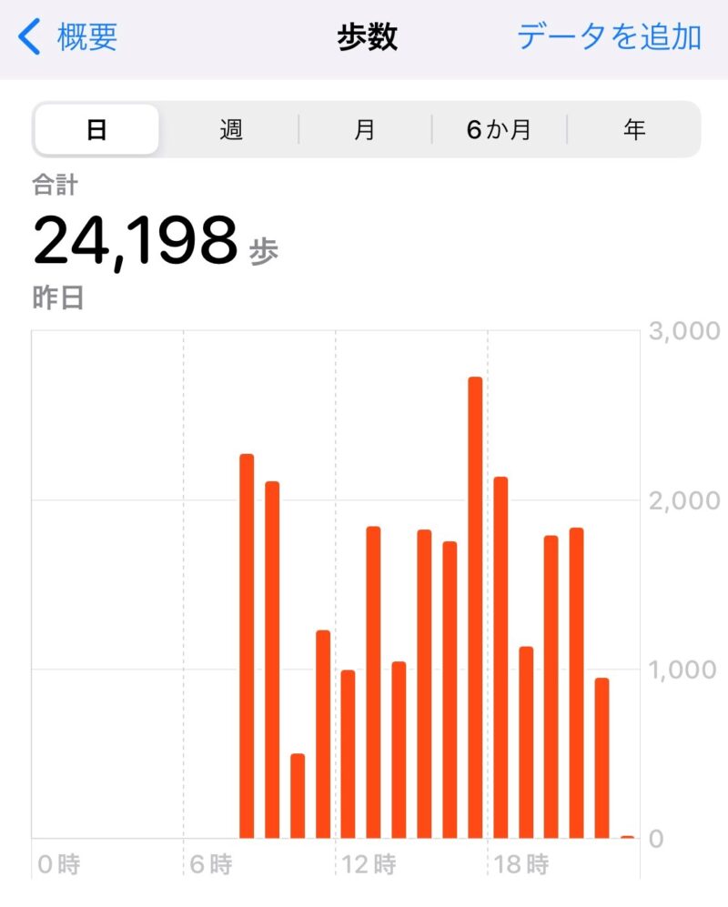 1日中義足で東京ディズニーシーを歩き回ったら2 5万歩を超えた話 こぶちゃんのひとり歩き